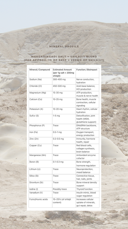 Makgadikgadi Mineral Salts + Shilajit blend